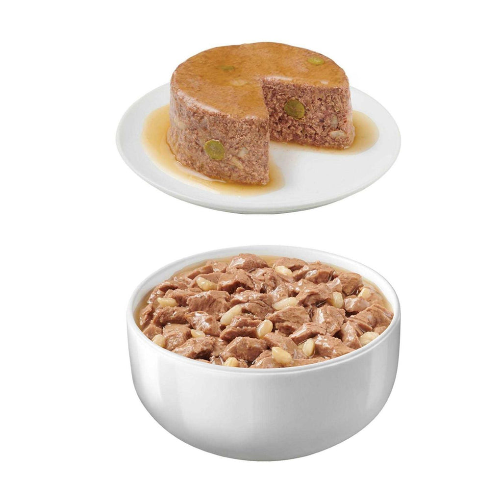 Ocean Favorites Wet Cat Food Variety Pack Y455