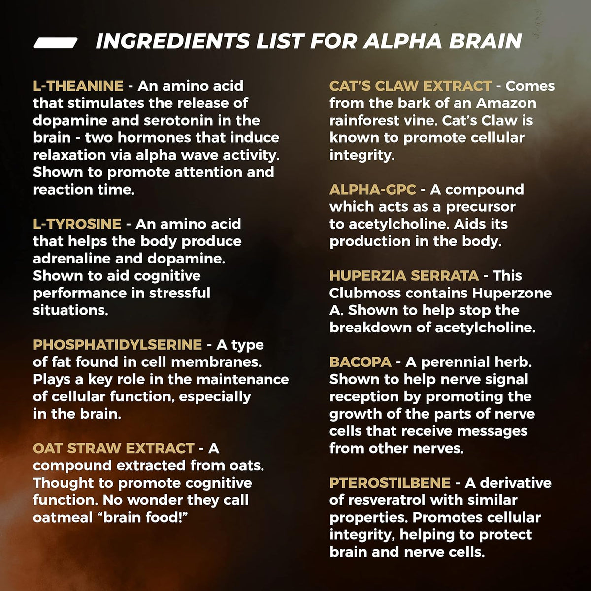Nootropic Brain Supplement Pack of 2 U227