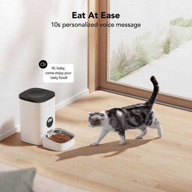 Automatic Dog & Cat Feeder P67637