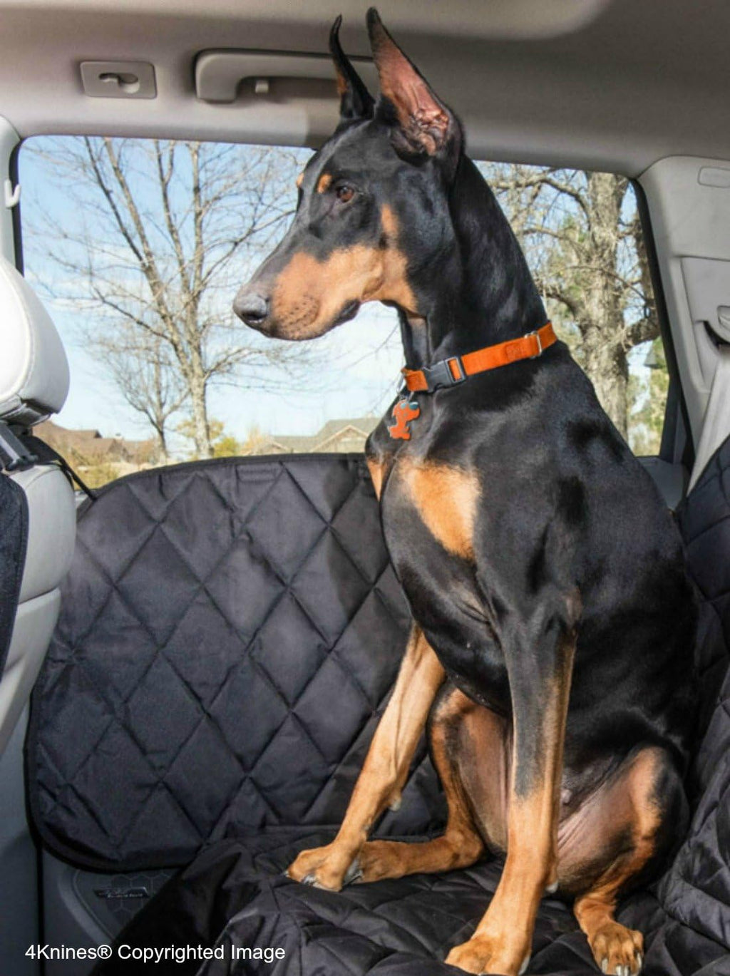 Black Dog Car Door Cover O970028