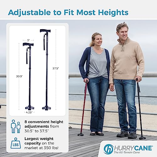 Foldable Walking Cane with T Handle L657530