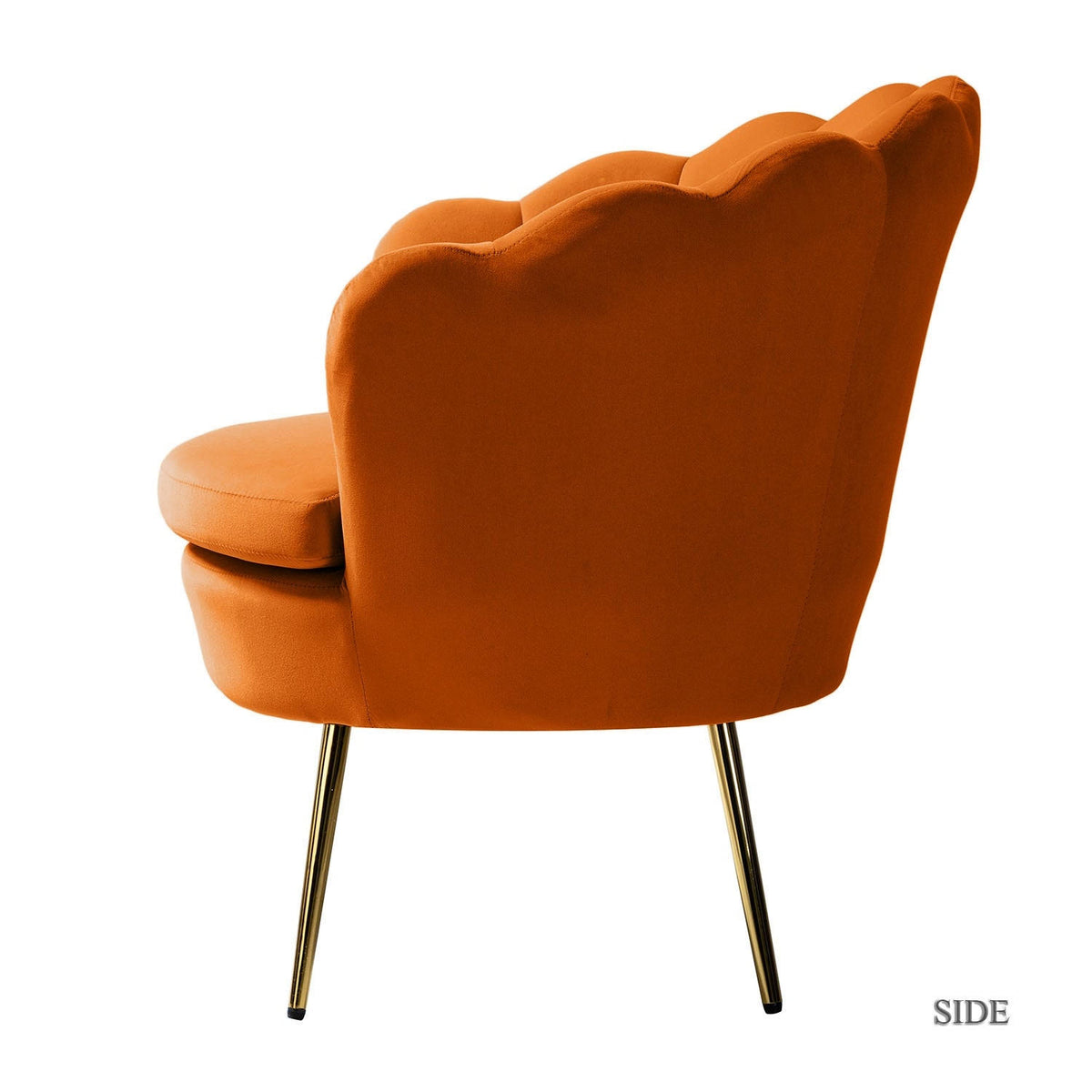 Tufted Barrel Chair with Golden Base - Teal I89259
