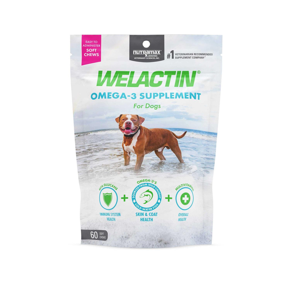 Omega-3 Supplement Soft Chews For Dogs K2018