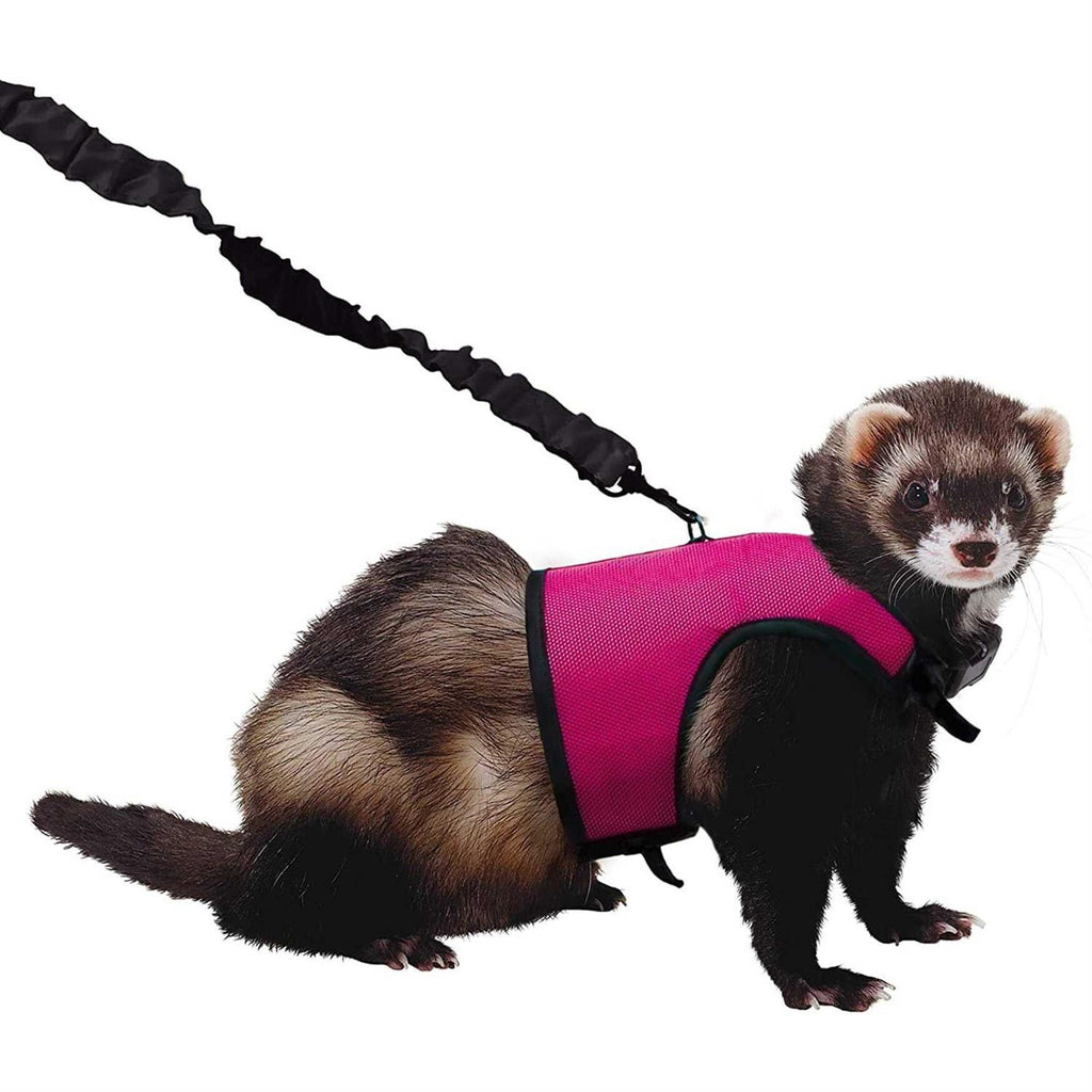 Comfort Harness Stretchy Leash Q228