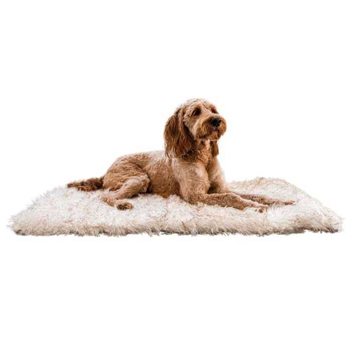 White Portable Orthopedic Dog Bed U85749