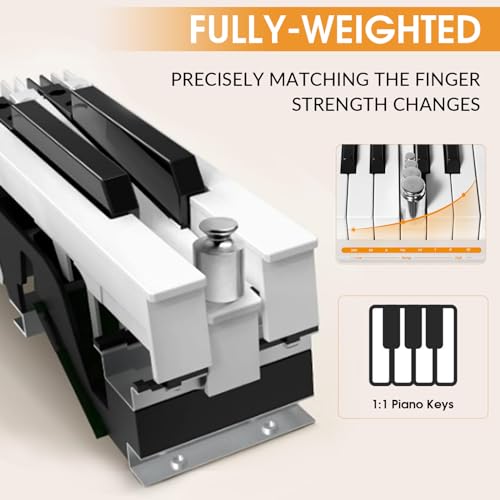 88 Key Weighted Keyboard with Hammer Action, 2x30W Speakers, Adjustable Stand, Carrying Case, Sustain Pedal, Headphone, Black X304889