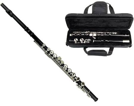 Silver Flute with Carrying Case, Tuner, Music Stand C6750