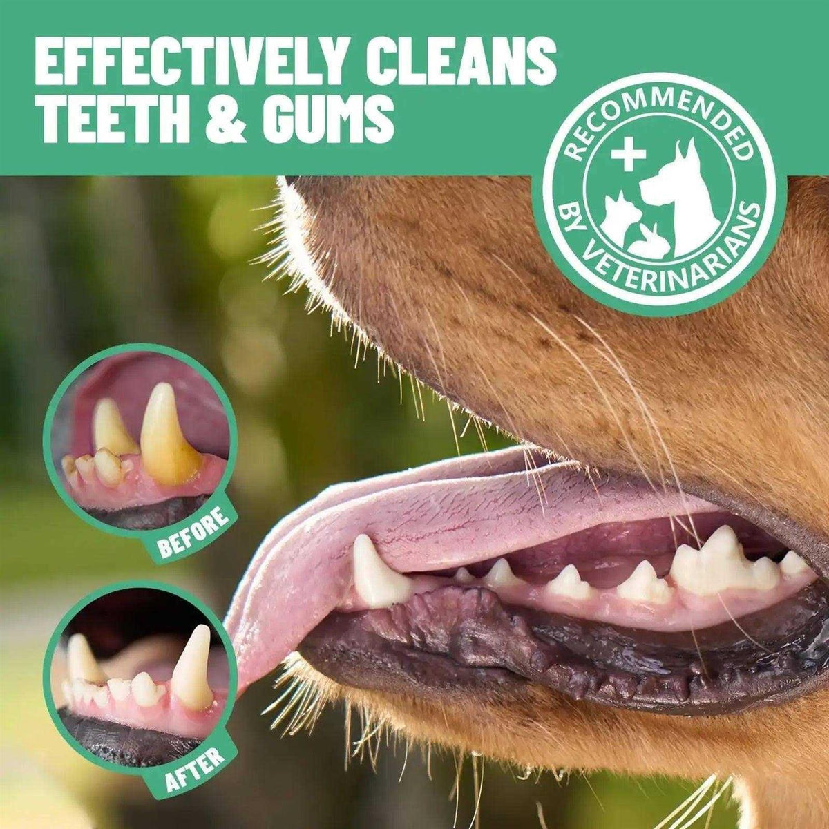Dental Finger Wipes for Cats & Dogs 50 pc T875