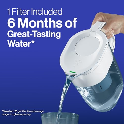 Water Filter Replacements for Pitchers and Dispensers, 2 Count L9976