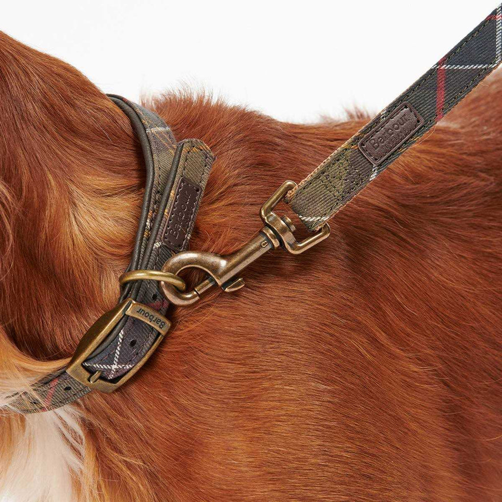 Tartan Webbing Collar H28338