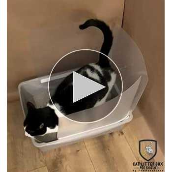Cat Litter Box Pee Shields I5502