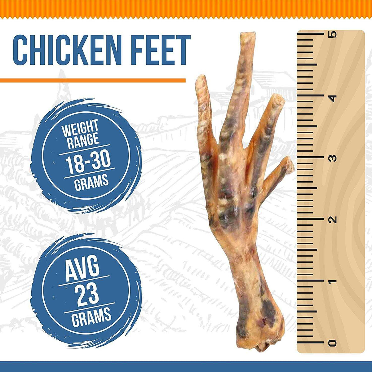 Chicken Feet Dog H437571