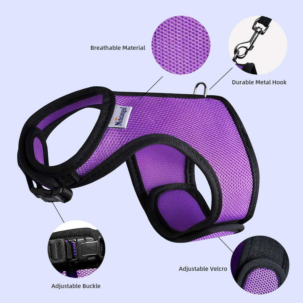 Adjustable Soft Harness with Elastic Leash H31624
