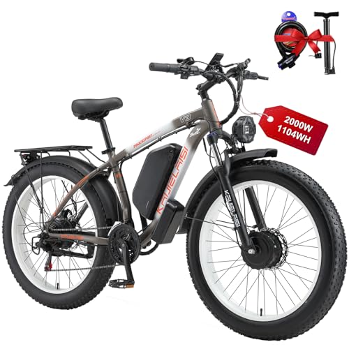 26 Inch Fat Tire Electric Mountain Bike 4000W Peak 48V 23Ah 21 Speed L9168