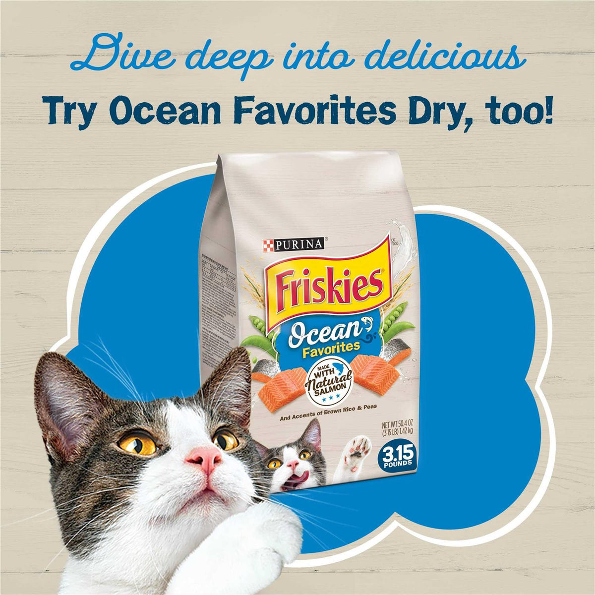 Ocean Favorites Wet Cat Food Variety Pack Y455