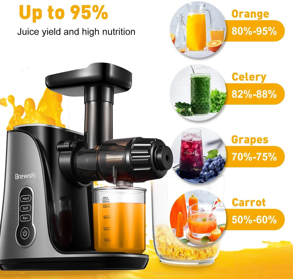 Black Slow Masticating Juicer W870