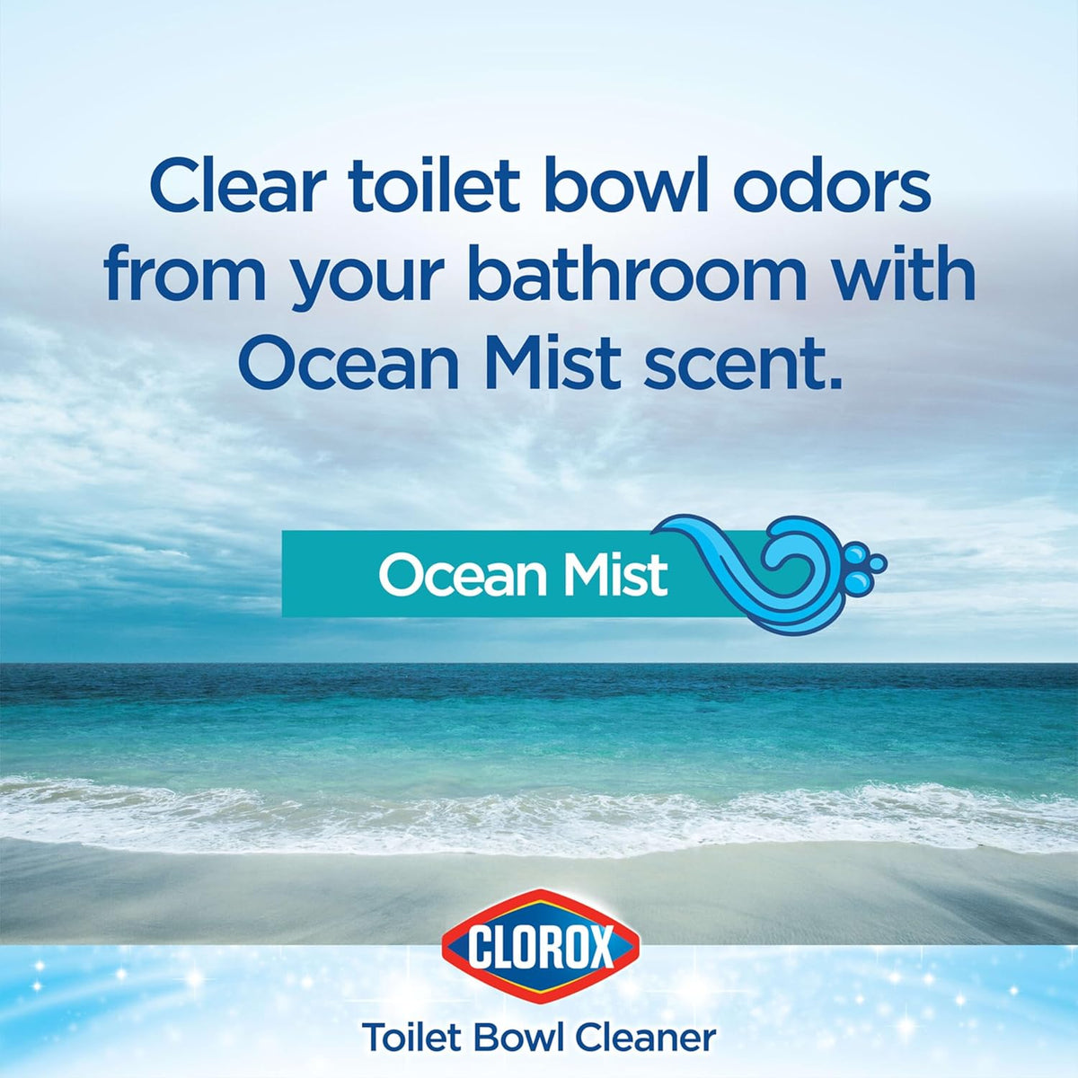 24 Ounces Pack of 2 Toilet Bowl Cleaner V25932