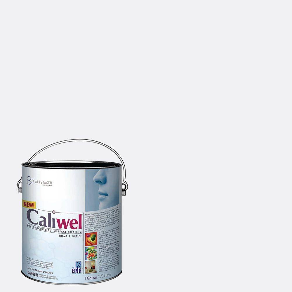 Gray Flat Latex Interior Paint V589