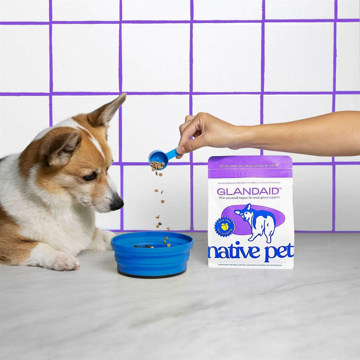Anal Gland Supplement for Dogs A20303