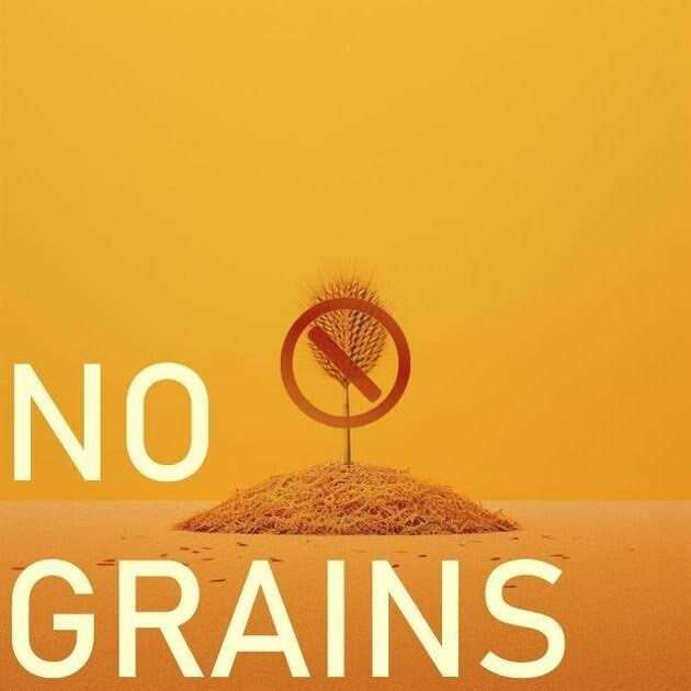 Freeze Dried Chicken O26816