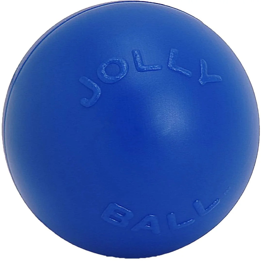 Blue 10 inch Hard Plastic Dog Toy J8971