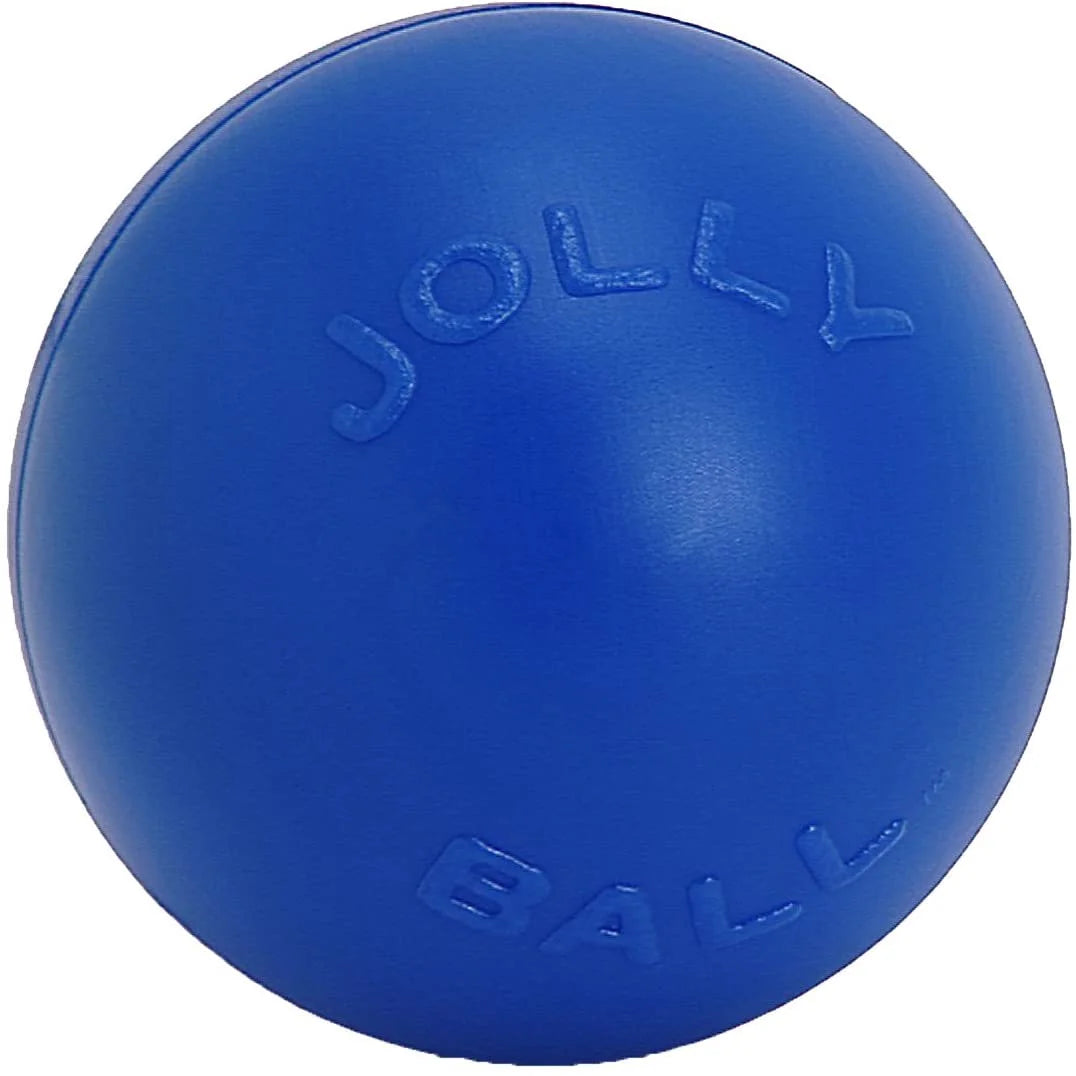 Blue 10 inch Hard Plastic Dog Toy J8971