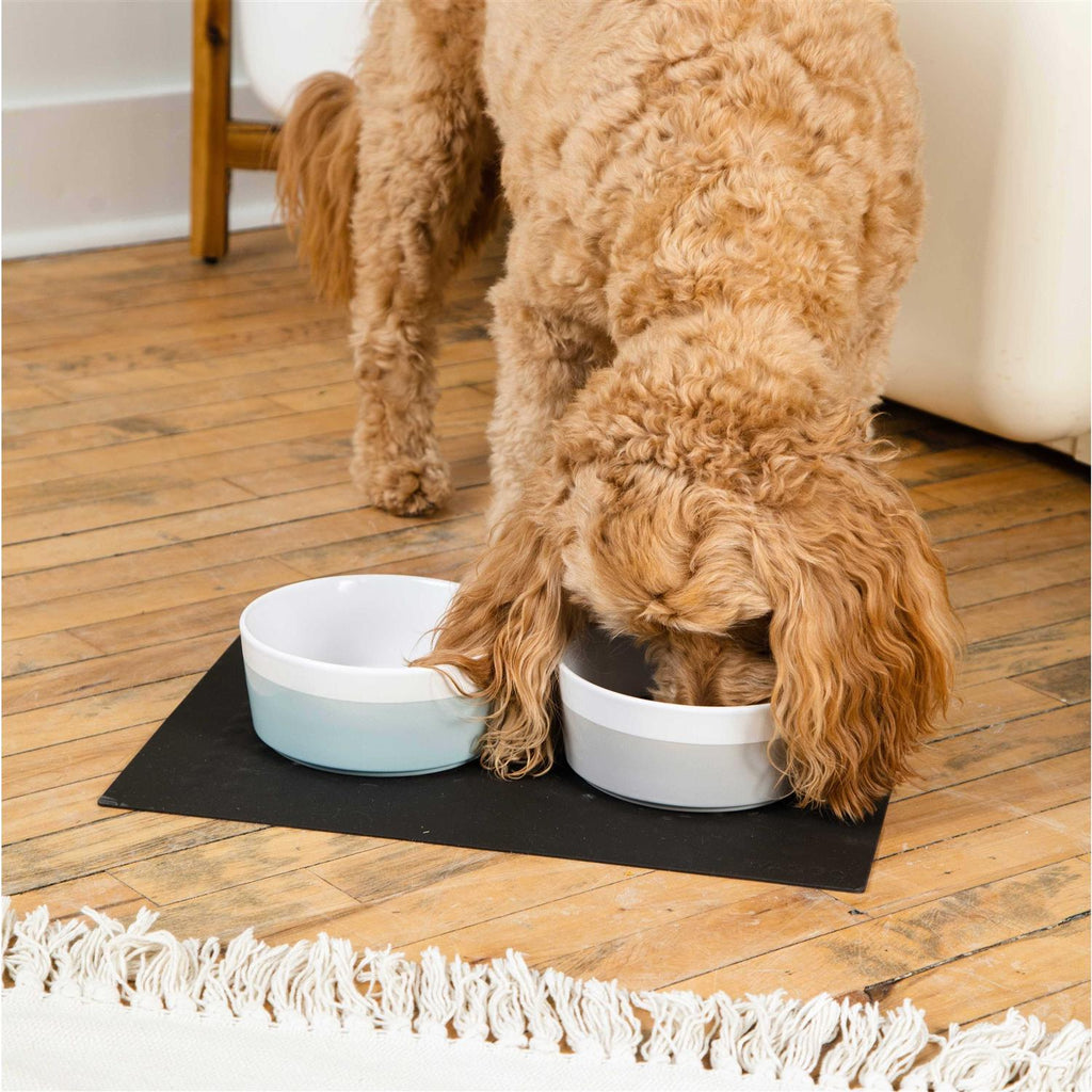 Ceramic Dog Bowl W606