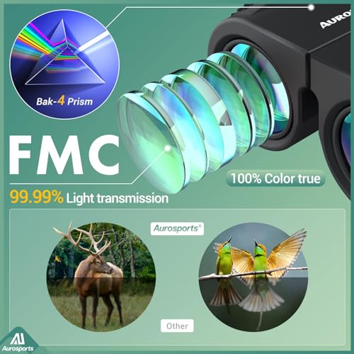 10x25 Folding Compact Binoculars Y941