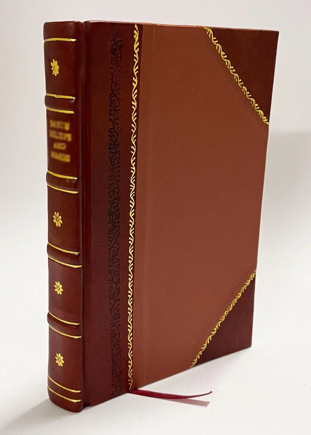 Professional Papers of the Corps of Royal Engineers Volume 24 Leather Bound L123108