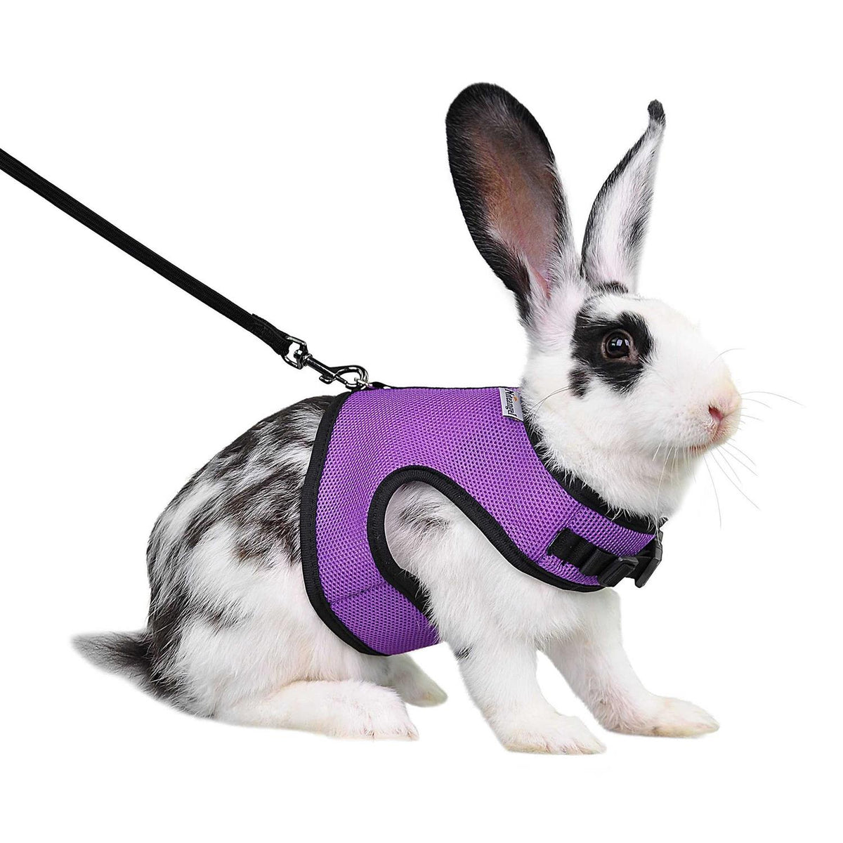 Adjustable Soft Harness with Elastic Leash H31624