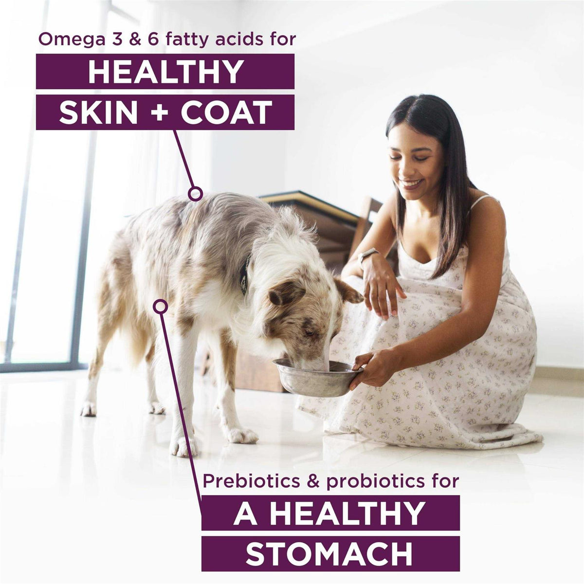 Pet Food M9920