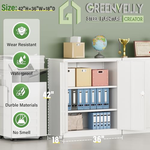 Black Metal Storage Cabinet with 2 Doors and 4 Adjustable Shelves G22260