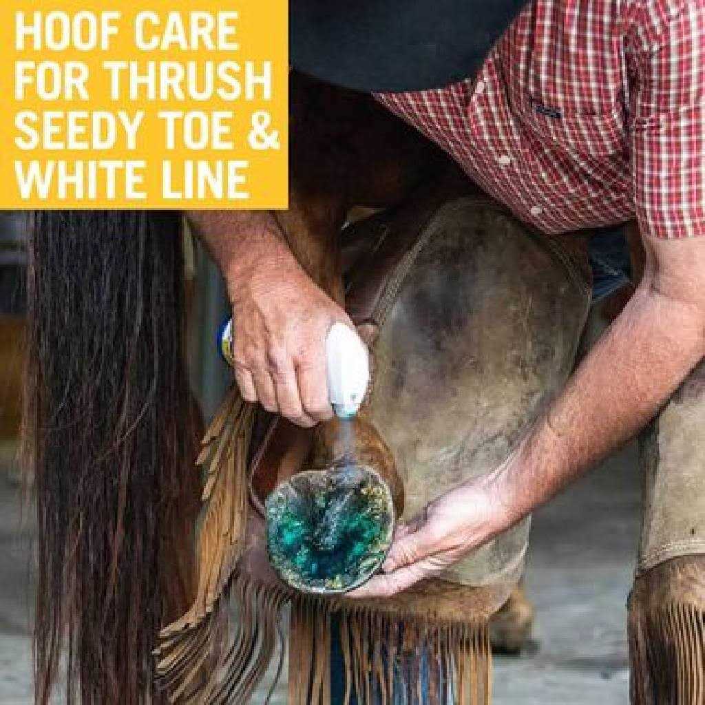 Hoof Care I401118