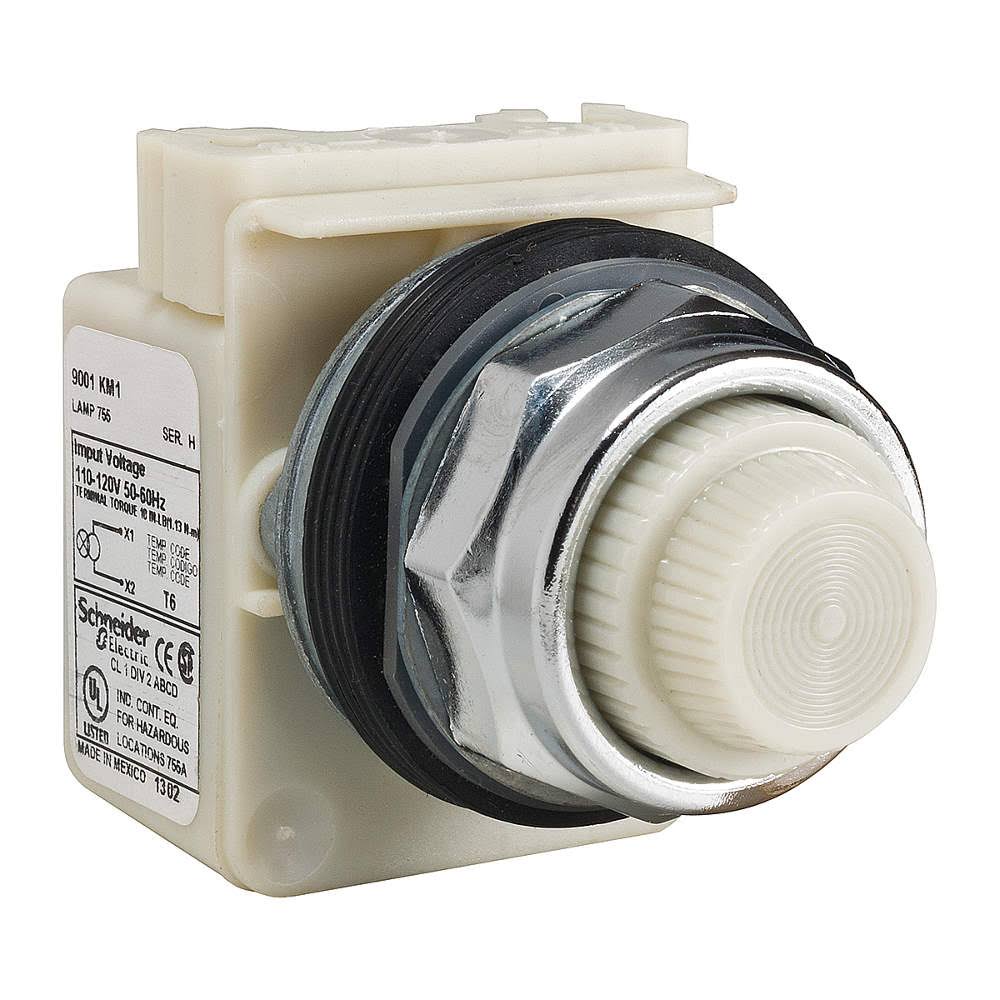 Pilot Light, White, 110-120V H255214