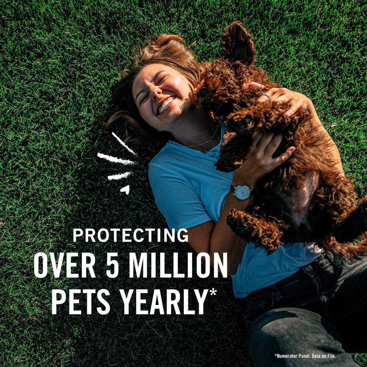 Flea Tick Treatment for Dogs V712598
