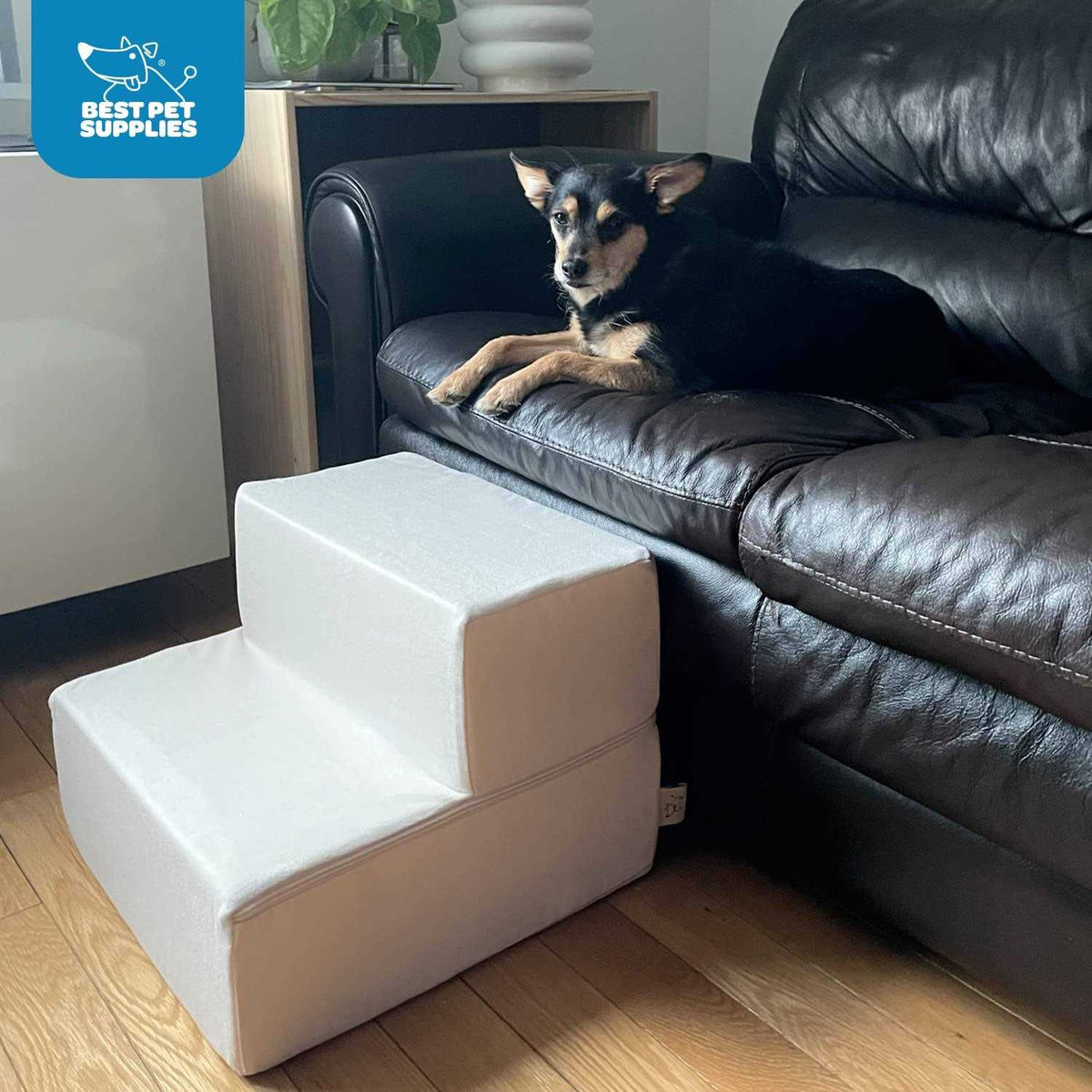 Foldable Pet Steps/Stairs with CertiPUR-US Certified Foam T974943