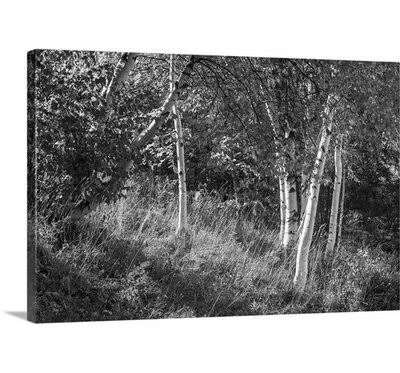 Canvas Print 40x22 H x 60x22 W x 1.5x22 D C2411