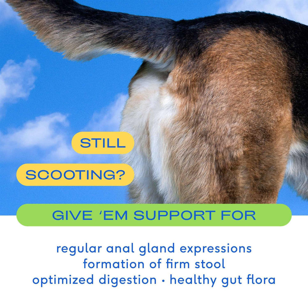 Anal Gland Supplement for Dogs A20303