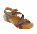 Dark Brown Multi Shoes V417