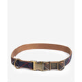 Tartan Webbing Collar H28338