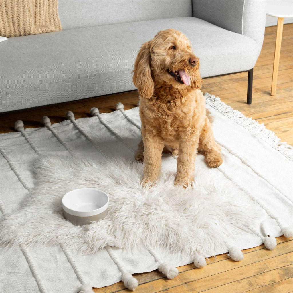 Ceramic Dog Bowl W606