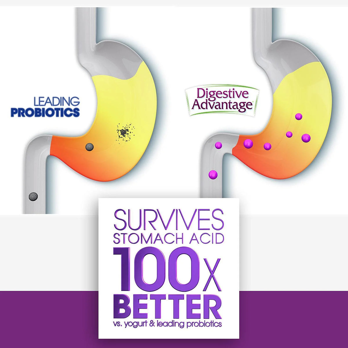 Daily Probiotics 120 Gummies Y879