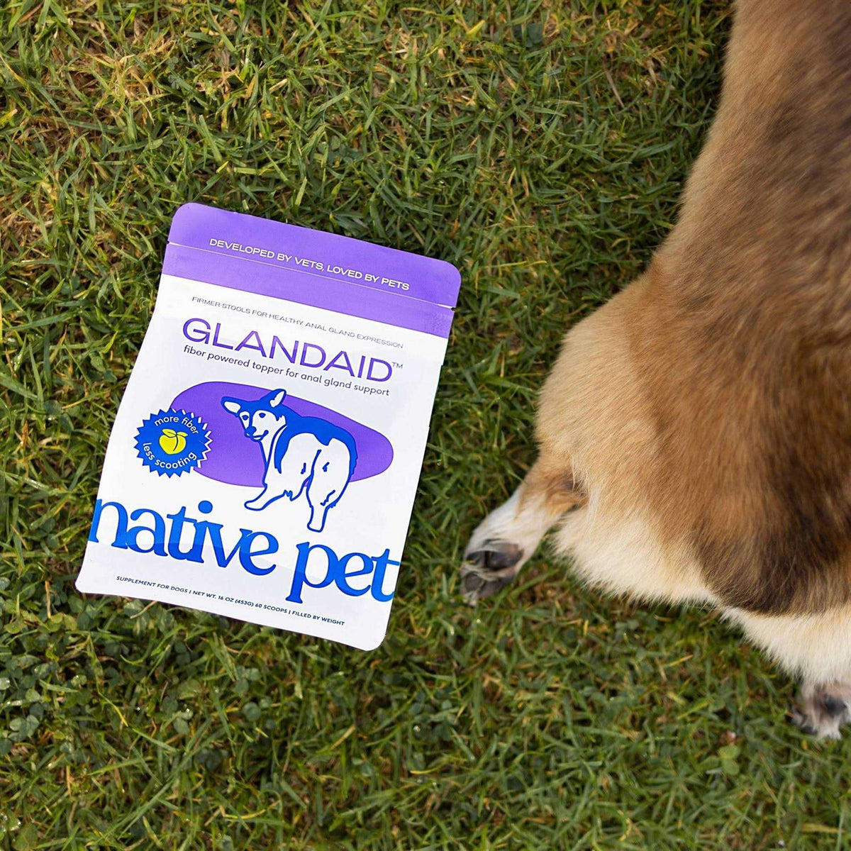 Anal Gland Supplement for Dogs A20303