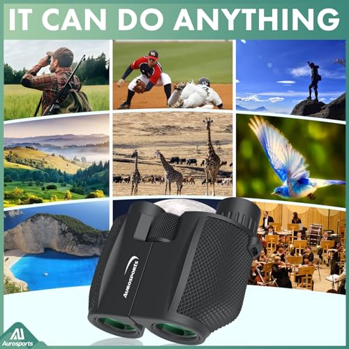 10x25 Folding Compact Binoculars Y941
