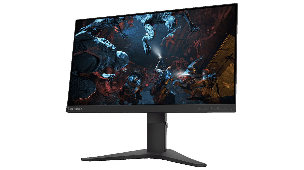 24.5-inch FHD FreeSync Gaming Monitor W495