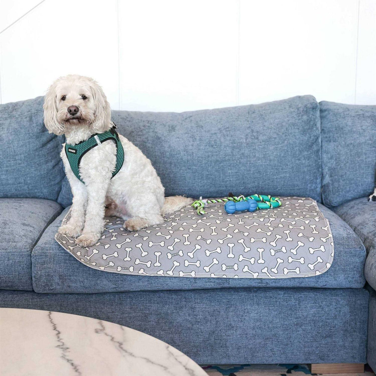 Bone Print Washable Reusable Pee Pads for Dogs X480