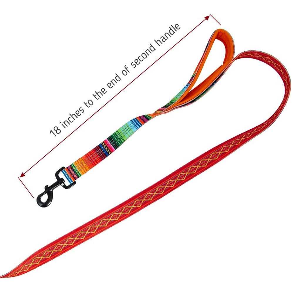 6ft Dog Leash Padded Handle O329