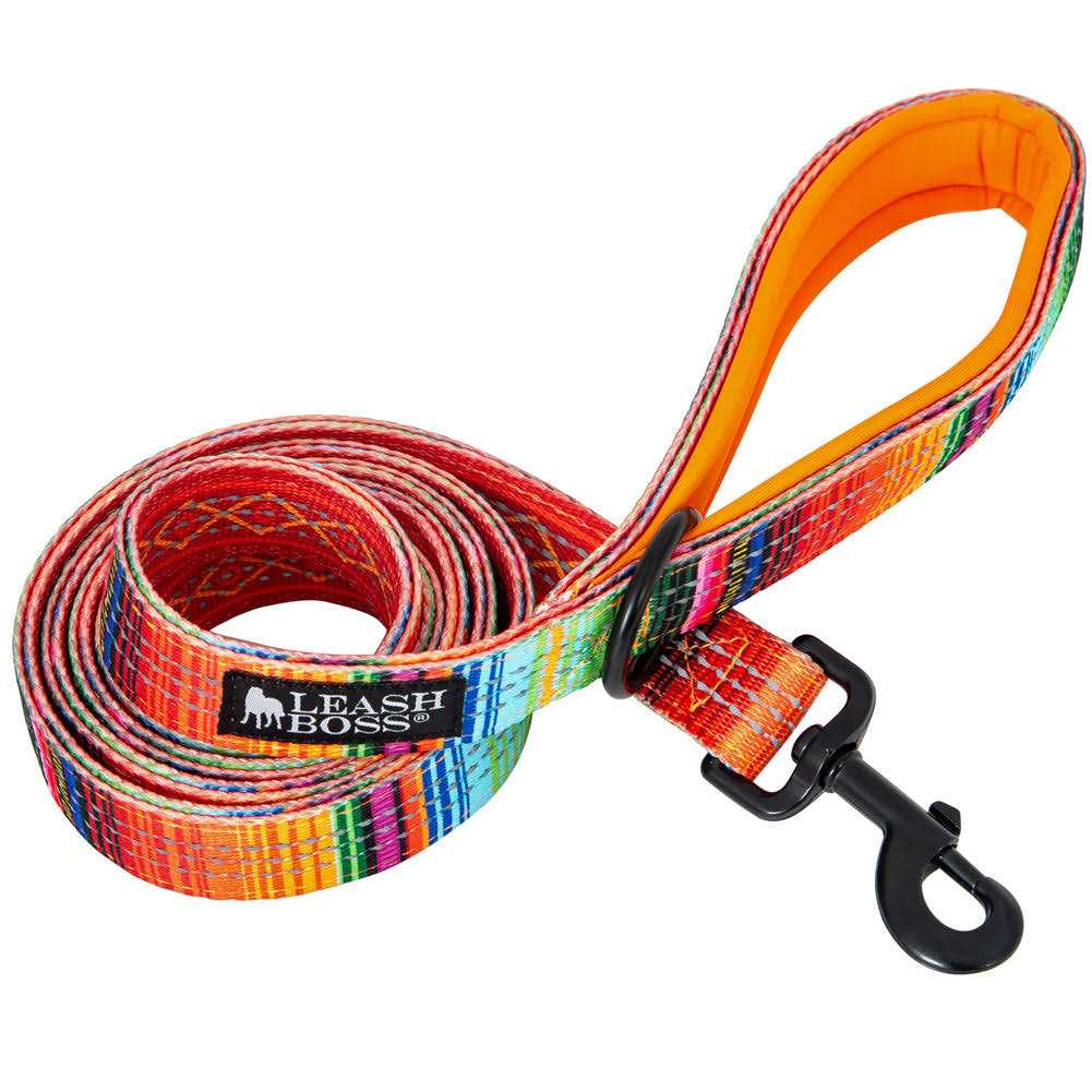 6ft Dog Leash Padded Handle O329