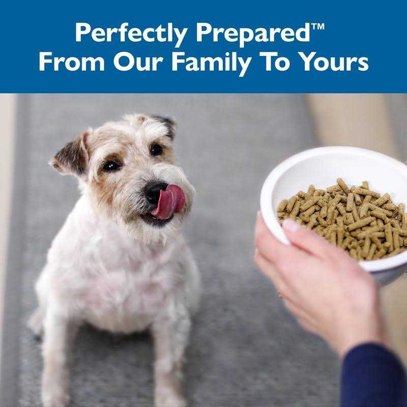 Dry Dog Food D21953