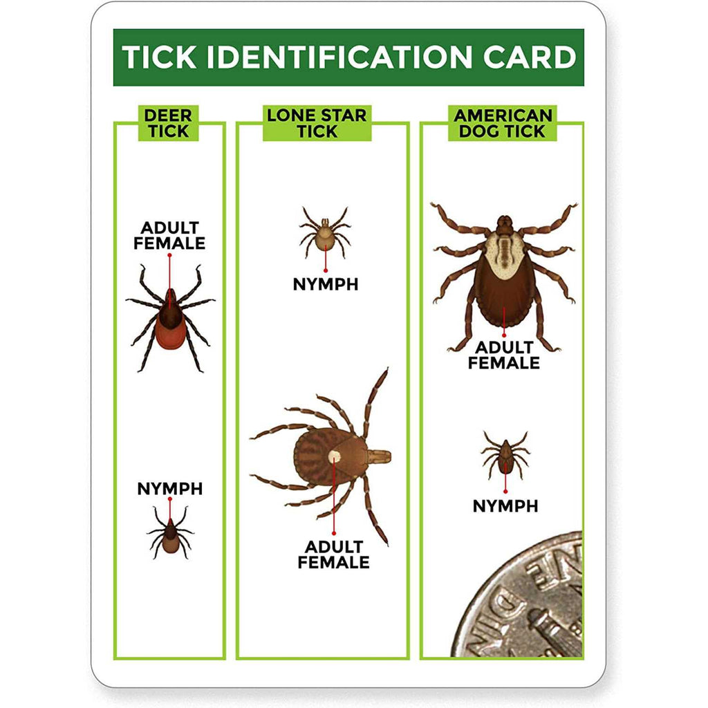 3 Pack Tick Remover Tools + Tick Identification Card R3394